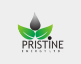 /public/logoimage/1356682420pristine 3.png